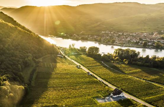 Het domein en de wijngaarden aan de Donau